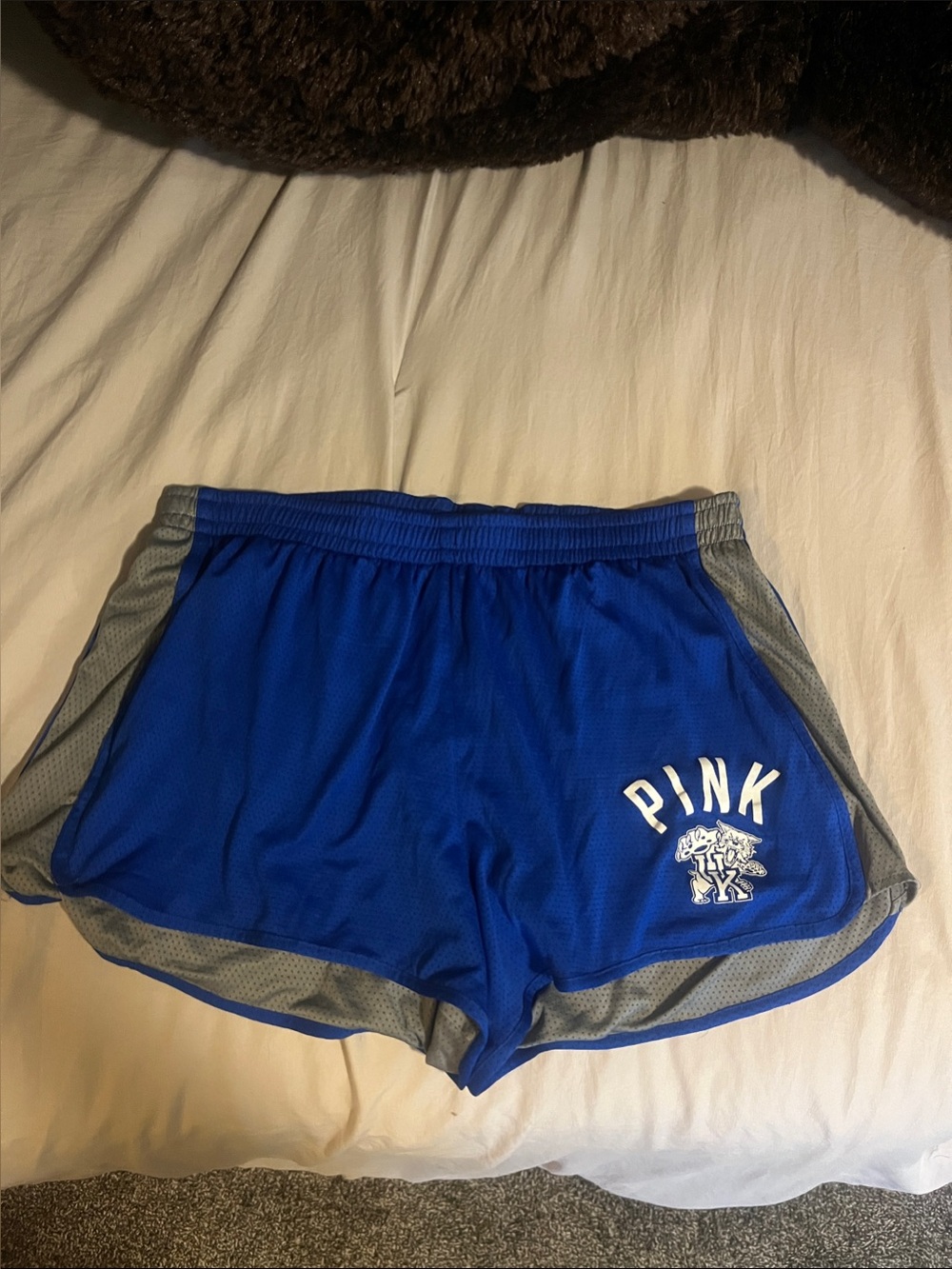PINK Victoria's Secret Blue Athletic Shorts with UK wildcat